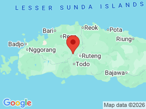 Map of Site Report: Spider Rice Fields, Indonesia